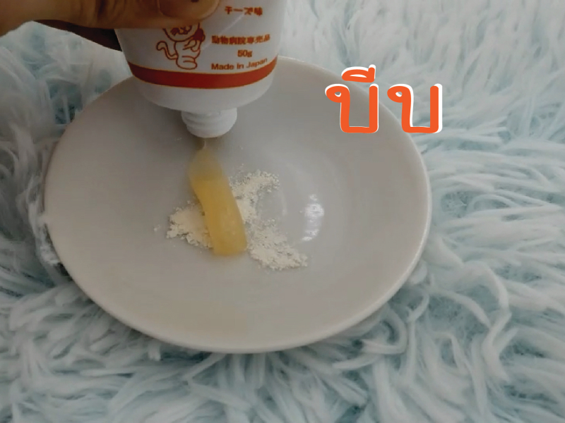 Doseme, โด๊สมี, เจลป้อนยา, เจลรสชีส, ป้อนยา, ป้อนยาหมา, ป้อนยาแมว ,สัตว์เลี้ยงกินยา, ให้ยาหมา, ให้ยาแมว, หมากินยายาก, แมวกินยายาก, วิธีป้อนยาหมา, วิธีป้อนยาแมว