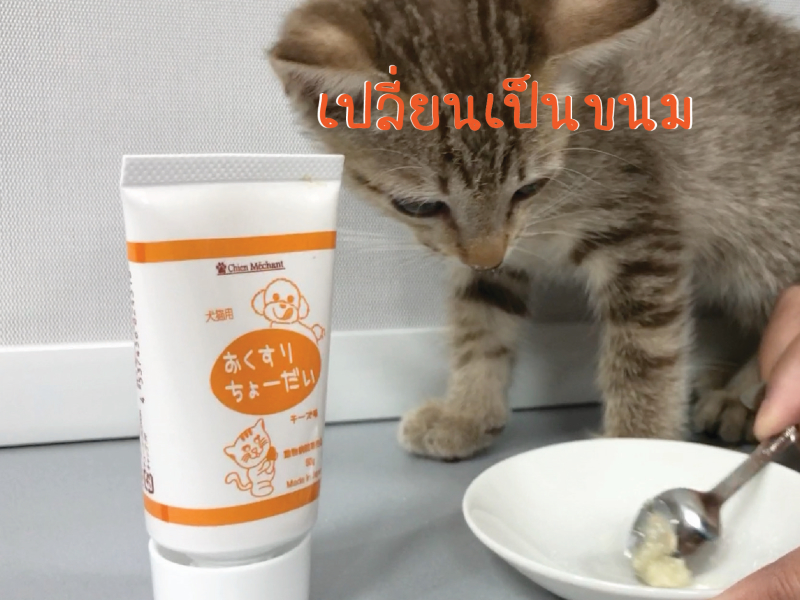 Doseme, โด๊สมี, เจลป้อนยา, เจลรสชีส, ป้อนยา, ป้อนยาหมา, ป้อนยาแมว ,สัตว์เลี้ยงกินยา, ให้ยาหมา, ให้ยาแมว, หมากินยายาก, แมวกินยายาก, วิธีป้อนยาหมา, วิธีป้อนยาแมว