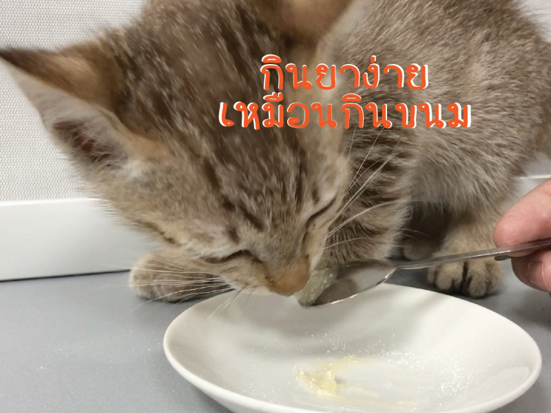 Doseme, โด๊สมี, เจลป้อนยา, เจลรสชีส, ป้อนยา, ป้อนยาหมา, ป้อนยาแมว ,สัตว์เลี้ยงกินยา, ให้ยาหมา, ให้ยาแมว, หมากินยายาก, แมวกินยายาก, วิธีป้อนยาหมา, วิธีป้อนยาแมว