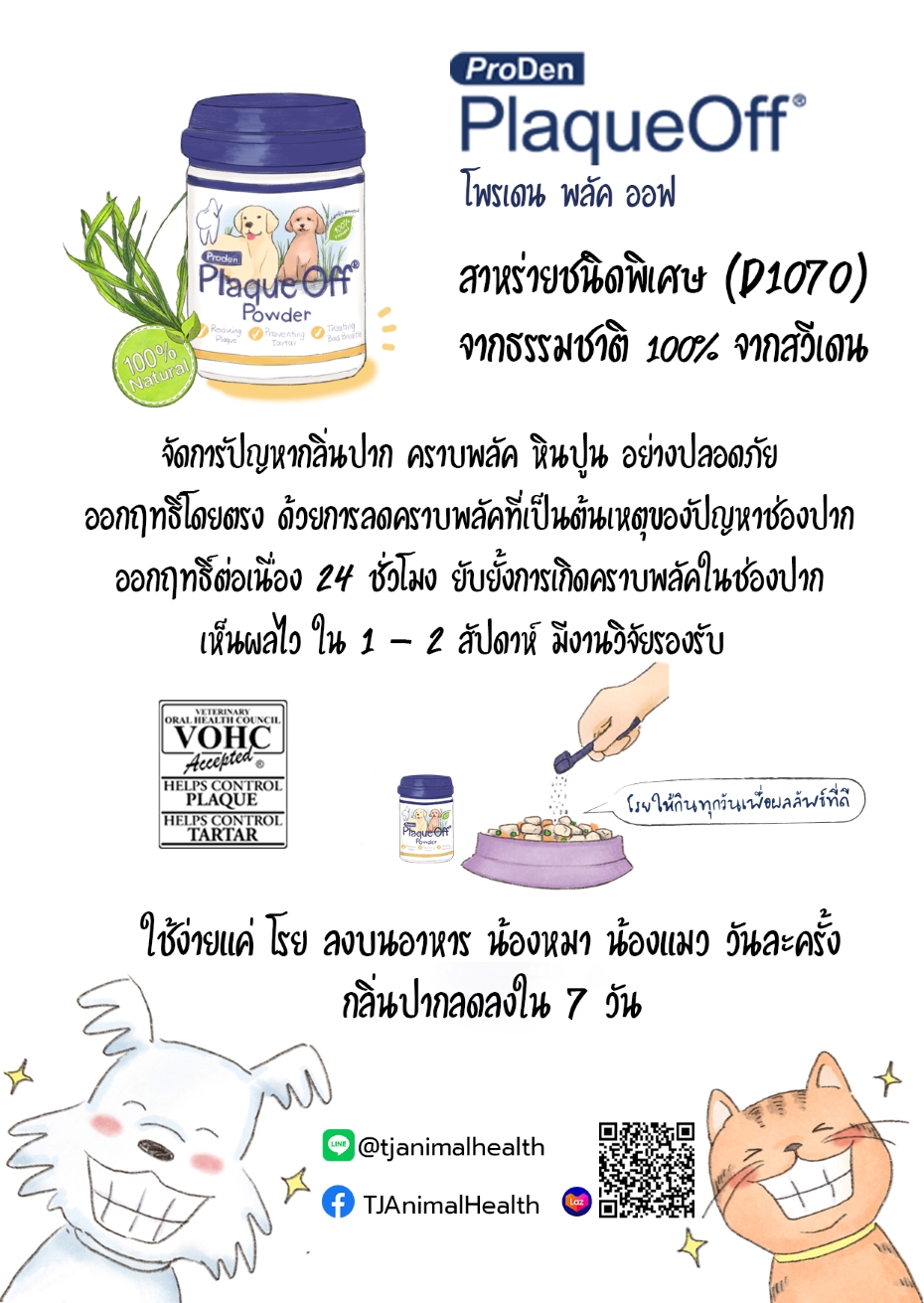 Proden, Plaqueoff, Plaque off, พลัคออฟ, พลัค, หินปูน, กลิ่นปาก, คราบหินปูน, กำจัดหินปูน, กำจัดกลิ่นปาก, กลิ่นปากหมา, กลิ่นปากแมว, แมวปากเหม็น, หมาปากเหม็น, แปรงฟันหมา, แปรงฟันแมว, กินง่าย, ไม่แสบปาก, ไม่กัดกร่อน, ไม่แสบเหงือก